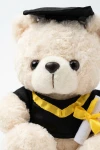 Blød plysbamse i toga set forfra - en fin dimissionsgave